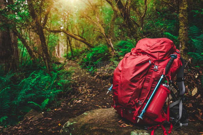塔斯马尼亚雨林岩石上红背包和徒步装备图片