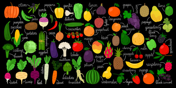 芒果榴莲鲜手画的蔬菜水果和子鲜手画的蔬菜水果和汁矢量图彩色涂鸦蔬菜单上面有名字插画