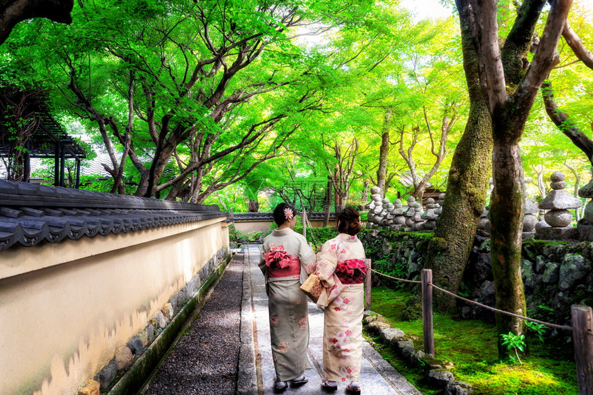 穿着和服的女人在京都的庙宇花园散步图片