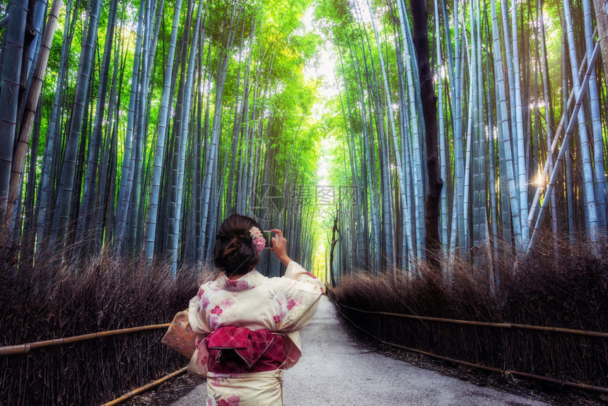 日本和服旅行者在竹林中走动图片