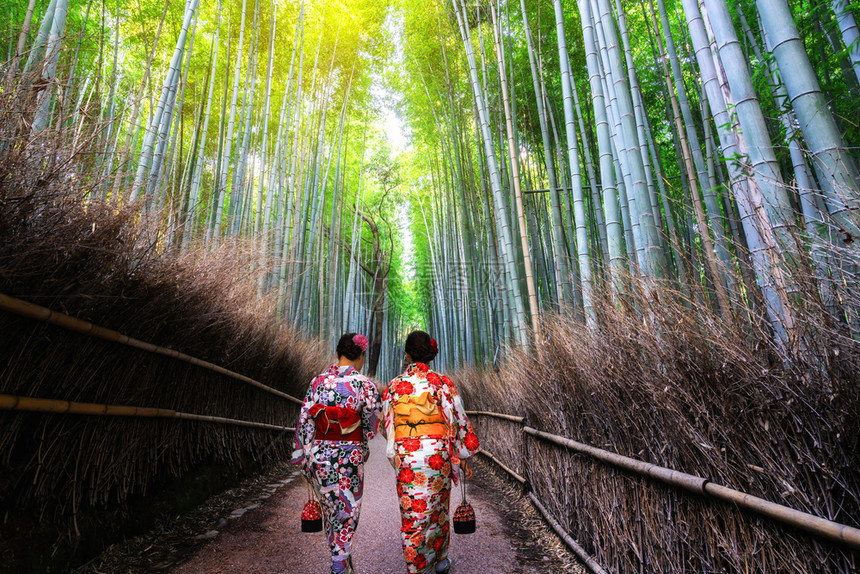 日本和服旅行者在竹林中走动图片