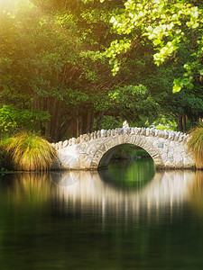 夏天桥下的池塘风景温暖的高清图片素材