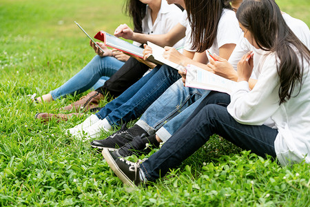 在草地学习的学生们图片