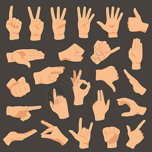 手动势矢量演示一组手势收集指点和确定握按语言计数或引导手势设置臂插画