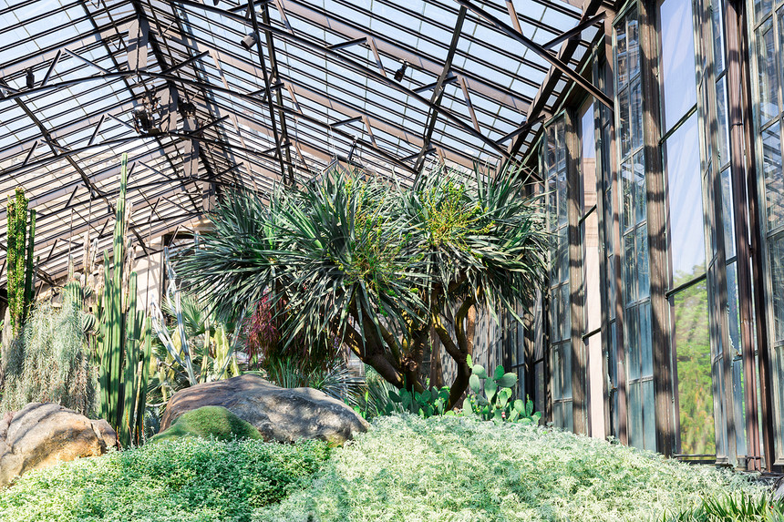 植物园背景图片