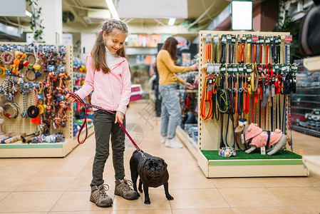 宠物用品商店小女孩在宠物店牵着狗背景