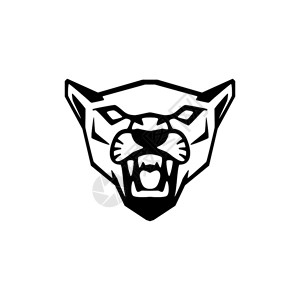 美洲熊头号标志体育队徽章吉祥物矢量说明的设计要素背景图片