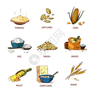 早餐燕麦谷物农村植病媒自然谷物营养说明类物农村植病媒插画