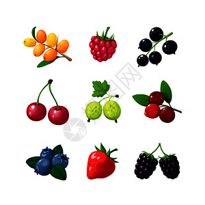 黑莓卡通浆果草莓樱桃蓝黑果胡萝卜矢量元素插画