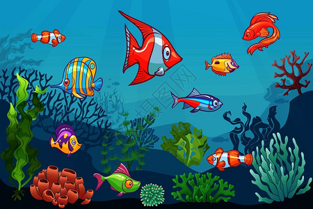 底海生物鱼小丑珊瑚海生幼鸟水下物海物鱼小丑珊瑚海生鸟背景图片