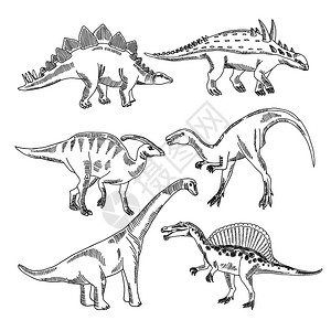 矢量图解原爬虫恒星龙其他恐矢量单线原龙恐和其他图片
