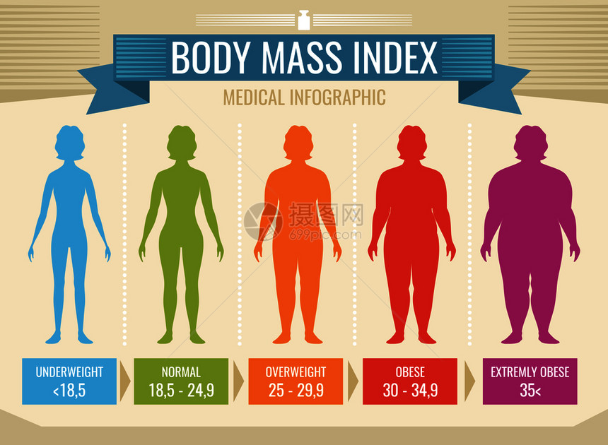 体重指数肥胖症和超重说明图片
