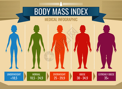 身体测量体重指数肥胖症和超重说明插画