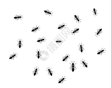 害虫设计素材ant标志模板矢量说明设计背景