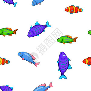 海洋鱼类卡通风格矢量图图片