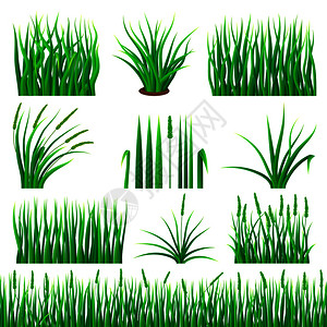 绿色网络草模型图片