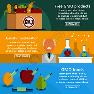 玉米大豆gmo产品横幅套装的向概念组3gmo产品矢量横幅图示用于网络gmo产品横幅套装的平板风格设计图片