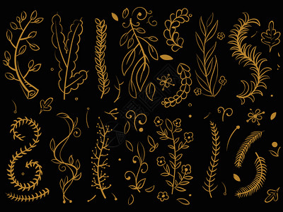 黑底的金树和花枝植物树花叶图画矢量示黑底的金树和花枝图片