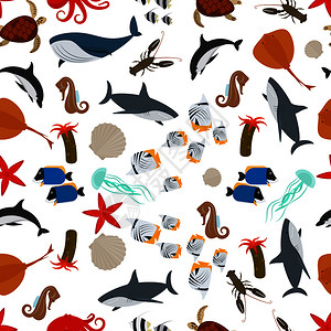 海洋动物平铺背景图图片
