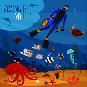 深海潜水潜水是我的生命图片