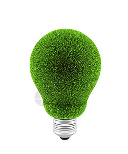 绿草的灯泡图片