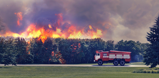 红色消防车消防引擎急于扑灭森林中的火灾背景