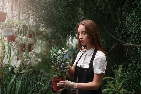 种植植物图片