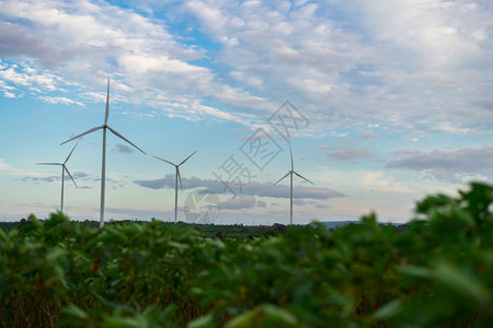 可持续发展的风车图片