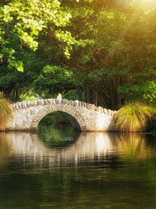 夏天在温暖的阳光下植物园的一座美丽桥上反射在池塘里令人放松的高清图片素材