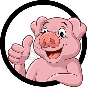 猪圆玉润可爱的猪插画