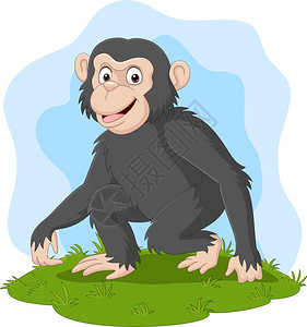 卡通草地上快乐的黑猩猩图片