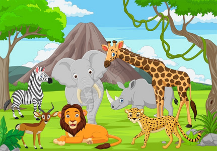 非洲森林丛林中的卡通野生动物插画