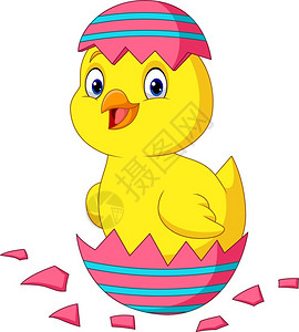 小鸡小鸭从蛋壳中孵化的可爱小鸡卡通矢量插画插画