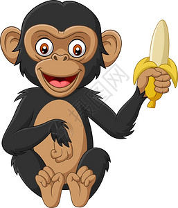 吃香蕉猴子手拿香蕉的卡通小黑猩猩插画