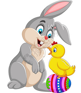 兔子嘴卡通兔子和一只小鸡插画