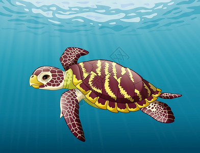宝贝游泳海洋中游泳的卡通海龟插画