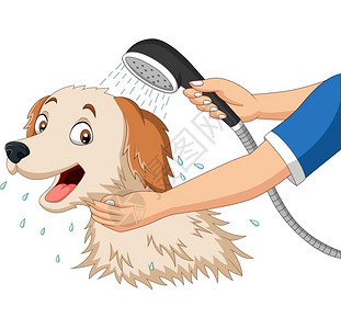 淋浴头正在洗澡的卡通狗插画