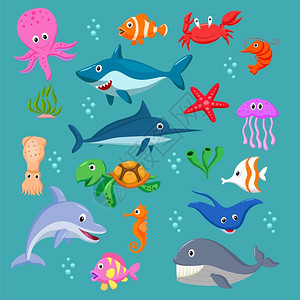 海洋生物系列背景图片
