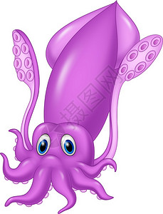 紫色可爱章鱼可爱鱿鱼漫画插画