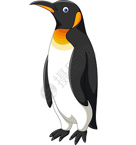 白背景孤立的卡通企鹅背景图片