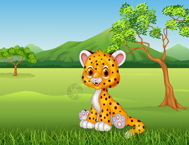 丛林中可爱的小猎豹高清图片