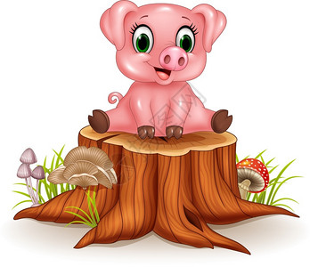 坐在树桩上的可喜爱小猪卡通图片