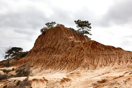 沙石中的尖锐侵蚀托里松树山坡面与云端的天空相对图片