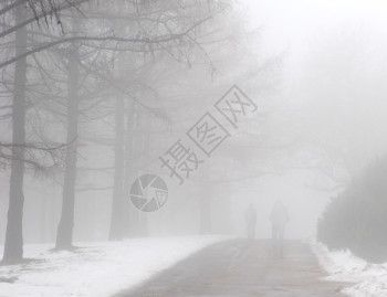 人们在雾的冬季公园中行走的轮廓花园高清图片素材