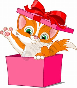 穿红色长袍猫可爱的小猫从礼物盒里跳出来设计图片