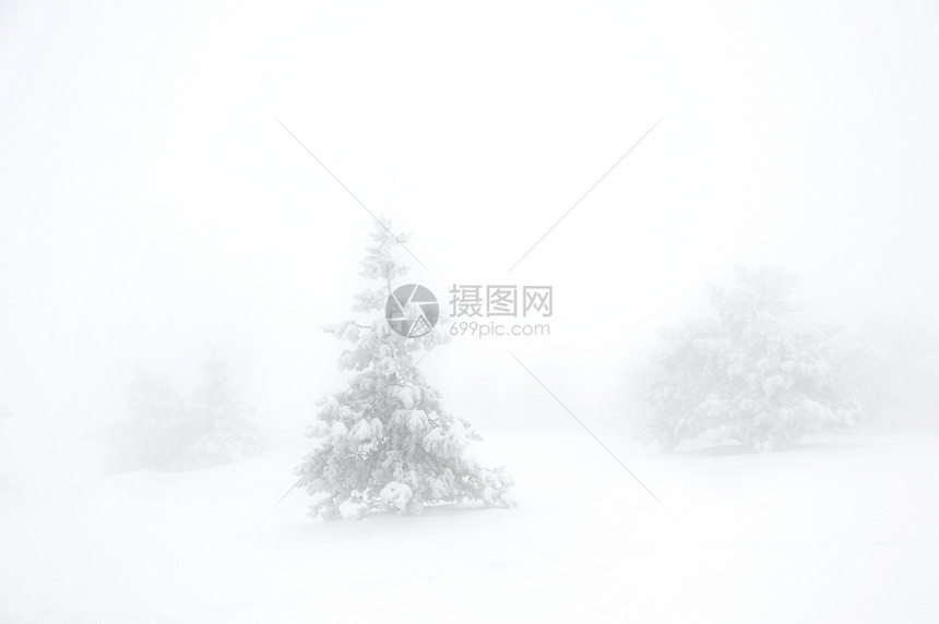 雾中苍蝇山上的雪树覆盖着大ukraine图片