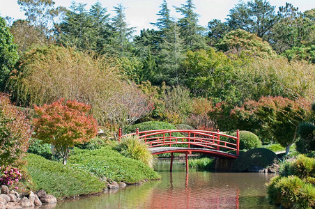 美丽的宁静日本式花园红桥在太沃隆巴图片
