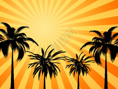 热太阳大黄色和橙的热夏日太阳照棕榈树图片