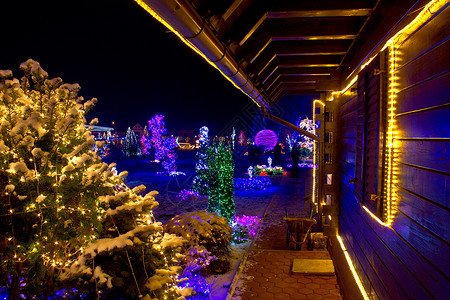 圣诞美丽的冬夜树木和屋灯光亮图片