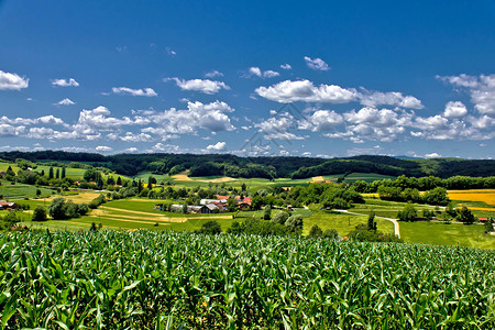 春天美丽的绿色村庄风景观泽斯托韦克croati高清图片